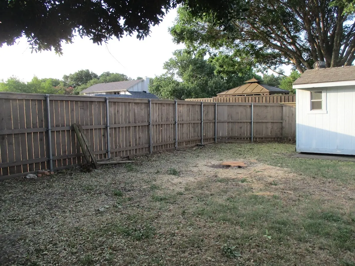 Cleared yard after professional tree removal in Chebeague Island
